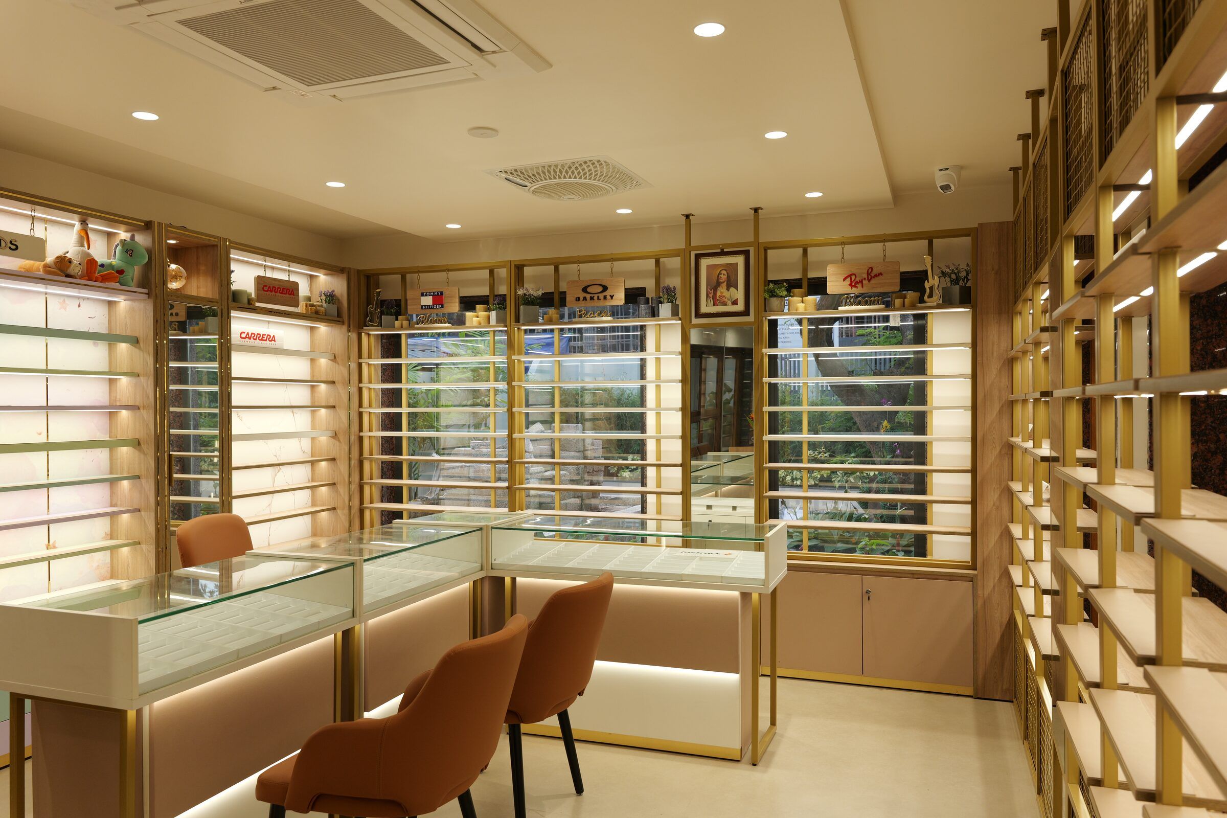 Spectacle frames on display at Cotton Hill Opticals